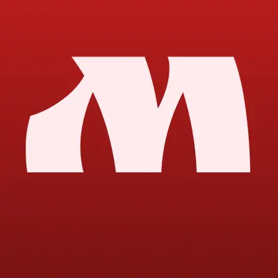 Межрайонная Инспекция Федеральной Налоговой Службы № 15 по Новосибирской Области, лого-визитка