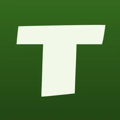 Территориальная избирательная комиссия Тогучинского района, лого-визитка