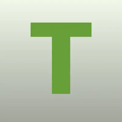 Тогучинская средняя школа №4, лого-визитка
